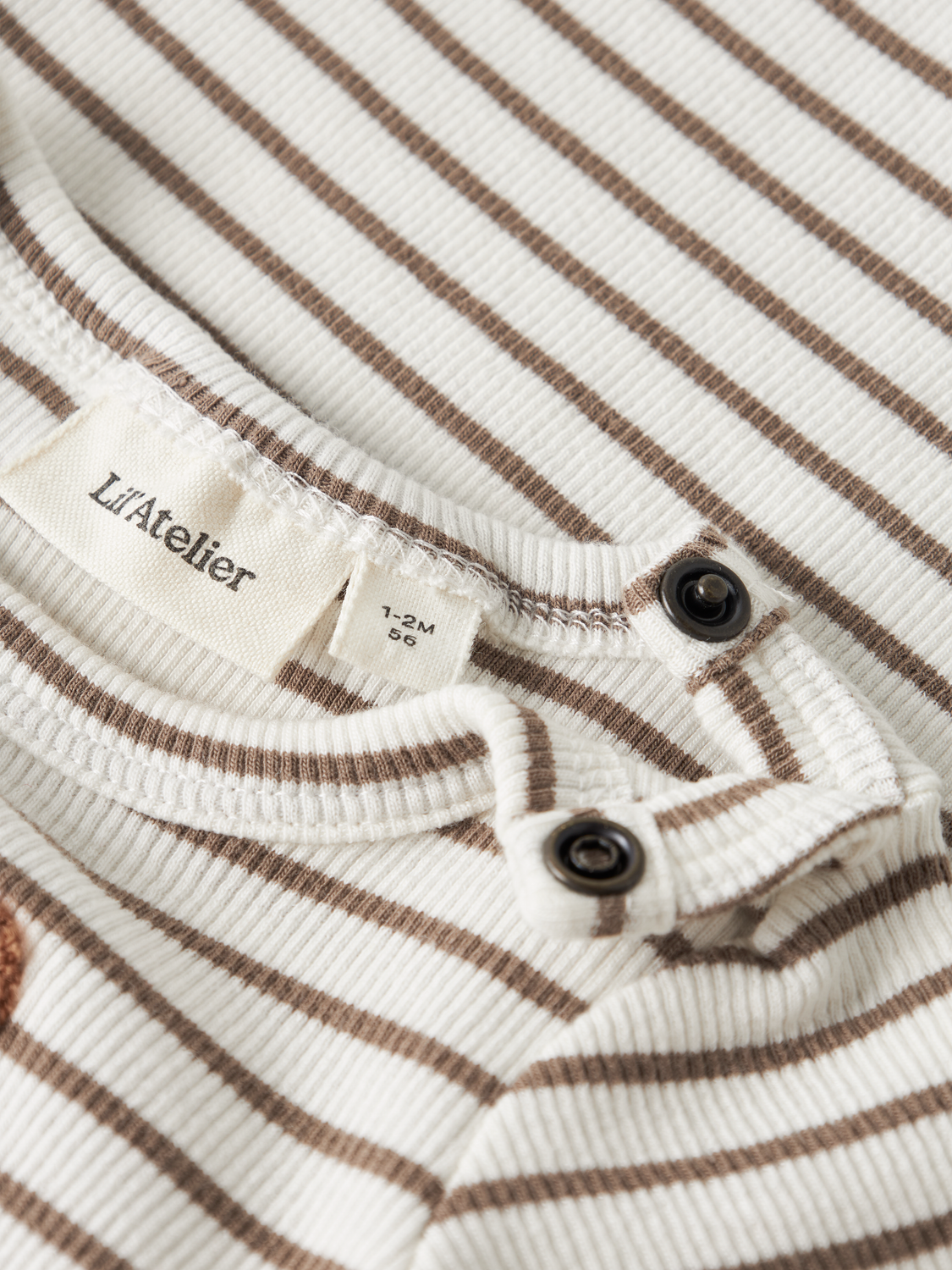 model_shot-front_full